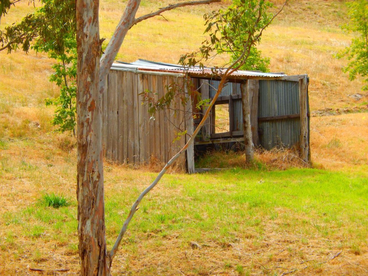 Morialta Barns Bed & Breakfast Norton Summit Ngoại thất bức ảnh